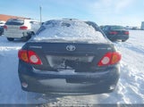 Toyota Corolla Le 2T1BU4EE9AC204070 снимка