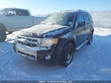 Ford Escape Limited 1FMCU9E76BKB62326 снимка