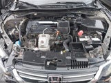 Honda Accord Ex-L 1HGCR2F81EA803446 снимка
