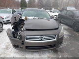 Nissan Maxima Sv 1N4AA5AP7EC433417 снимка