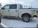 Ford F-150 Xlt 1FTFW1ET4DKD43986 снимка