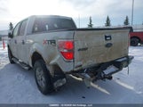 Ford F-150 Xlt 1FTFW1ET4DKD43986 снимка