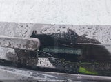 Hyundai Elantra Gl 5NPDH4AE4BH041958 снимка