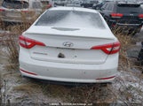 Hyundai Sonata Se 5NPE24AF4FH005823 снимка