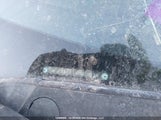 Honda Civic Lx-S 2HGFA1F61AH030034 снимка