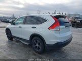 Honda Cr-V Lx 2HKRM4H38DH110854 снимка