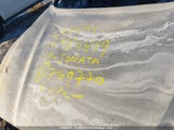 Hyundai Sonata Limited/Sel/Sport 5NPE34AF5KH769770 photo