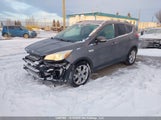 Ford Escape Titanium 1FMCU9J92EUA47819 снимка