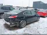 Acura Tl 19UUA8F50CA800880 снимка