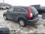 Honda Cr-V Ex-L 5J6RE48769L804391 снимка