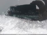Chevrolet Equinox Ls 2GNAXHEV4J6168551 снимка