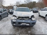 Hyundai Santa Fe KM8SB13D55U899747 снимка