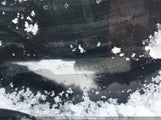 Toyota Corolla Matrix Xr 2T1KR32E55C877699 снимка