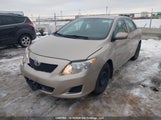 Toyota Corolla S/Le/Xle 2T1BU4EE9AC395103 снимка