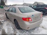 Toyota Corolla S/Le/Xle 2T1BU4EE9AC395103 снимка