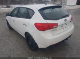 Kia Forte Ex KNAFU5A2XC5493041 снимка