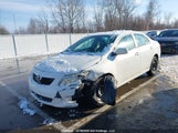 Toyota Corolla S/Le/Xle 2T1BU4EE5AC356007 снимка