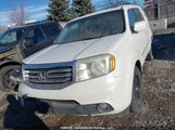 Honda Pilot Touring 5FNYF4H90DB504566 снимка