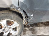 Honda Pilot Exl 5FNYF4H56DB502754 снимка