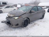 Toyota Corolla L/Le/Xle/Se/Xse 2T1BURHE9KC239458 снимка