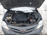 Toyota Corolla S/Le 2T1BU4EE0BC672903 fotografie