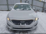 Hyundai Sonata Gls 5NPE24AF8GH307505 снимка