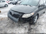 Toyota Corolla 2T1BU4EE7AC399179 снимка