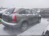 Honda Cr-V Lx 5J6RE48338L807499 снимка