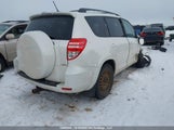 Toyota Rav4 Limited V6 2T3DK4DV6AW023210 fotografie