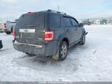 Ford Escape Limited 1FMCU94G99KA90694 снимка