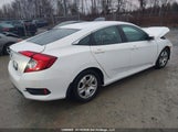Honda Civic Lx 2HGFC2F58HH028685 снимка