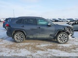 Toyota Rav4 Xle/Xle Premium 2T3R1RFV5KC034589 photo