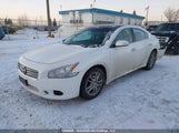Nissan Maxima S/Sv 1N4AA5AP2CC819272 снимка