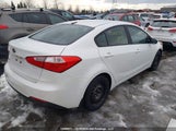 Kia Forte 1.8L Lx/1.8L Lx+/1.8L Se KNAFX4A61E5048887 fotografie