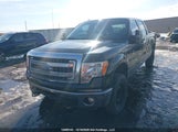 Ford F-150 1FTFW1EF1DKD74462 снимка