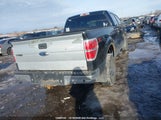 Ford F-150 1FTFW1EF1DKD74462 снимка