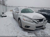 Nissan Altima 1N4AL3AP9GN337004 снимка