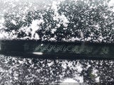 Acura Tsx JH4CL96826C801640 снимка