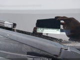 Dodge Grand Caravan Se 2C4RDGBG8ER320825 снимка