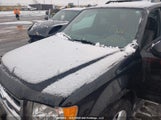 Ford Escape Xlt 1FMCU0D7XAKD03846 fotografie