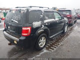 Ford Escape Xlt 1FMCU0D7XAKD03846 fotografie