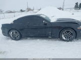 Ford Mustang Ecoboost 1FA6P8TH1J5173624 снимка
