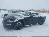 Ford Mustang Ecoboost 1FA6P8TH1J5173624 снимка