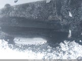 Mitsubishi Outlander Es JA4AZ2A35GZ602228 снимка