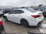 Acura Tlx Technology/A-Spec 19UUB1F6XLA800107 снимка