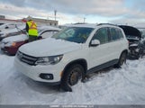 Volkswagen Tiguan S/Se/Sel/R-Line WVGJV7AX3FW112612 fotografie