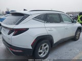 Hyundai Tucson Preferred Awd With Trend Package KM8JCCAE2NU126153 photo