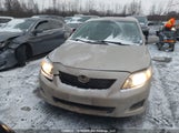Toyota Corolla S/Le/Xle 2T1BU40E59C079524 снимка