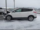 Ford Escape Se 1FMCU9GXXEUC94821 снимка