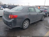 Toyota Corolla 2T1BU4EE8AC380804 снимка